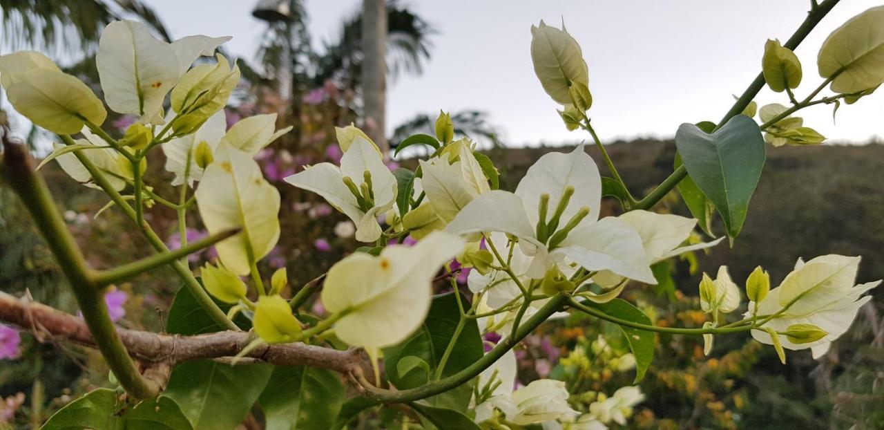 Vale Das Maritacas Teresopolisヴィラ エクステリア 写真